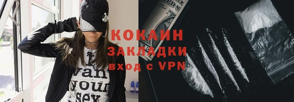 дмт Ладушкин