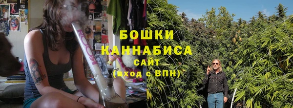 дмт Ладушкин