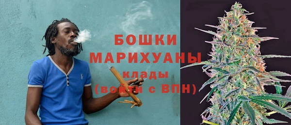 дмт Ладушкин