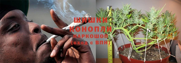 дмт Ладушкин