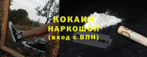 дмт Ладушкин