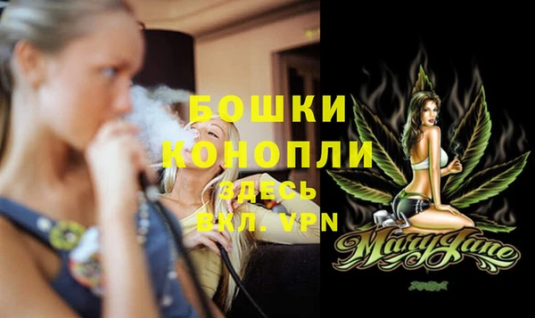 дмт Ладушкин