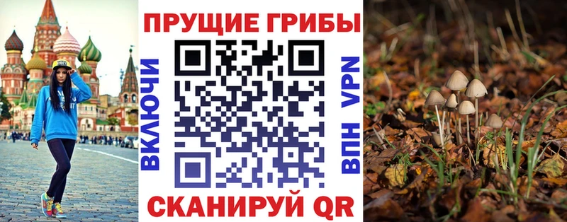 кракен ТОР  Мышкин  Галлюциногенные грибы Psilocybe  закладки 