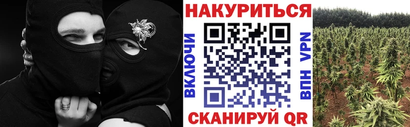 Бошки Шишки THC 21%  KRAKEN tor  Мышкин  магазин  наркотиков 